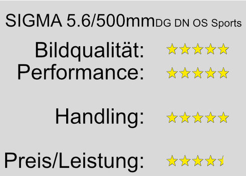 Bewertung.jpg
