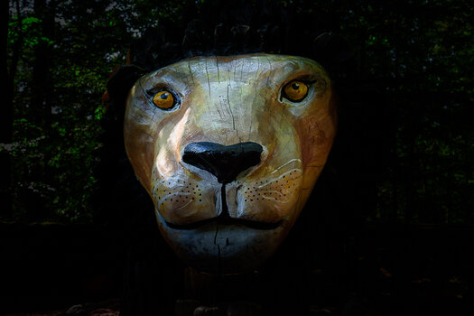 750_0762_DxO.jpg