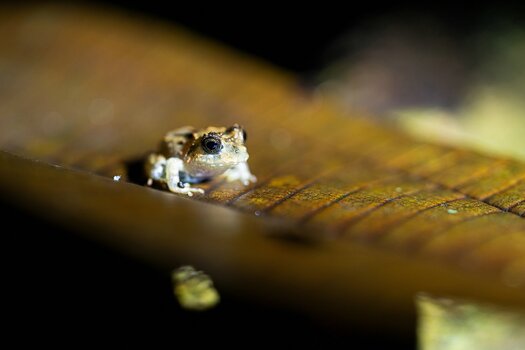 k_f072e_alyce_bender_small_creatures02_20240827.jpg