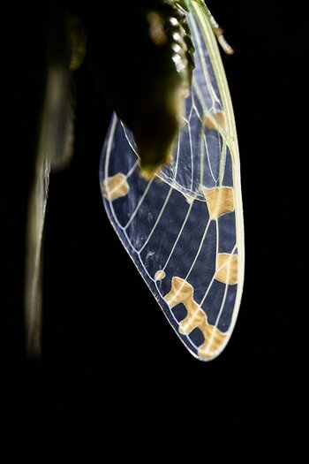 k_f072e_alyce_bender_small_creatures05_20240827.jpg