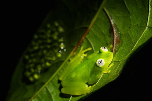 k_f072e_alyce_bender_small_creatures06_20240827.jpg