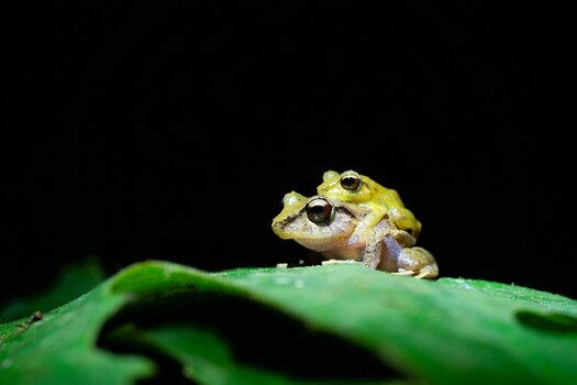 k_f072e_alyce_bender_small_creatures07_20240827.jpg