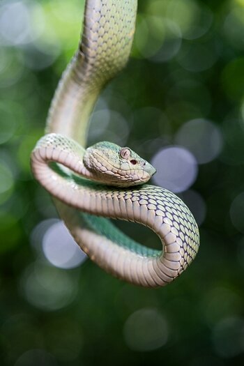 k_f072e_alyce_bender_small_creatures08_20240827.jpg