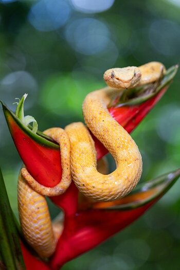 k_f072e_alyce_bender_small_creatures09_20240827.jpg