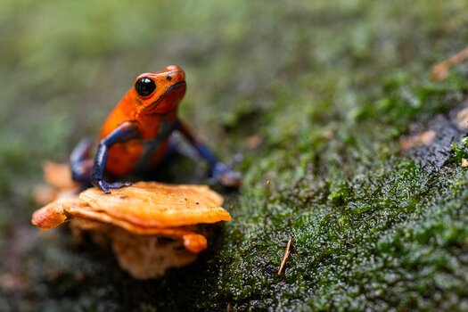 k_f072e_alyce_bender_small_creatures11_20240827.jpg