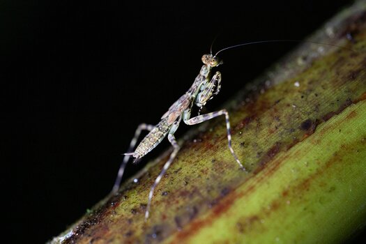 k_f072e_alyce_bender_small_creatures15_20240827.jpg