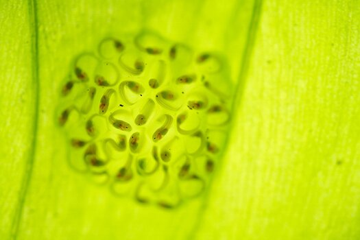 k_f072e_alyce_bender_small_creatures16_20240827.jpg