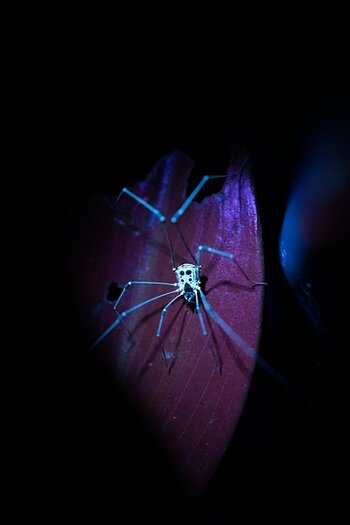 k_f072e_alyce_bender_small_creatures18_20240827.jpg