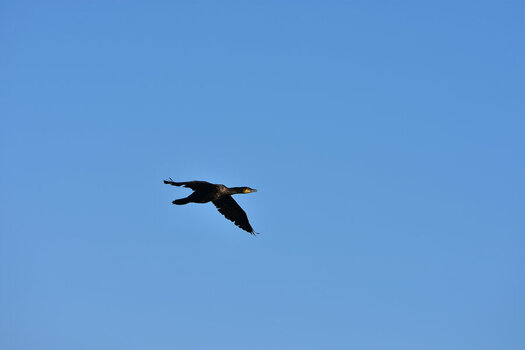 DSC_3577.jpg