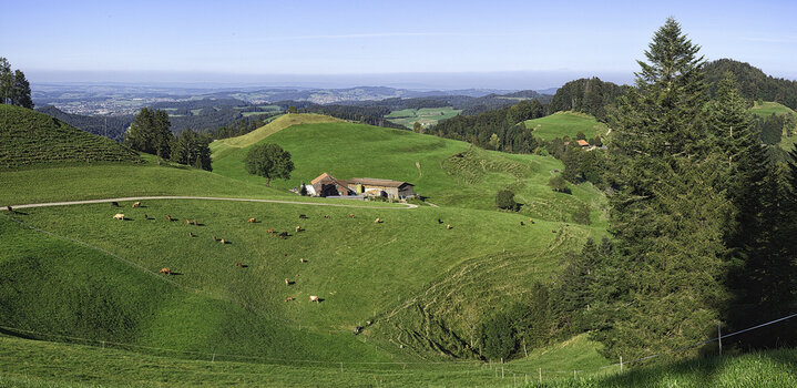 Neues Panorama 3.f.f.jpg