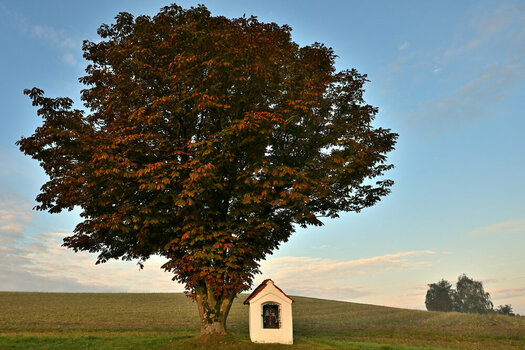 NZ8_1803.JPG