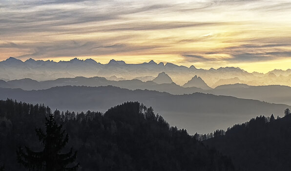 _DSC1520.f.jpg