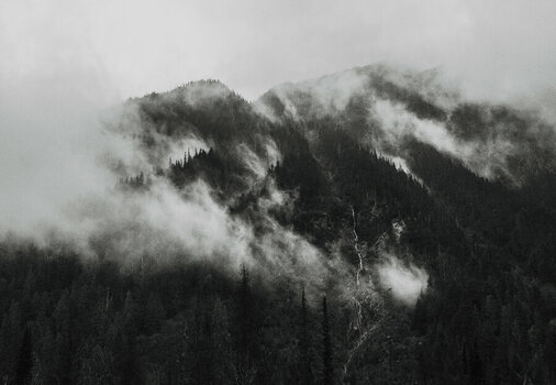 Z62_3812_X.03.jpg