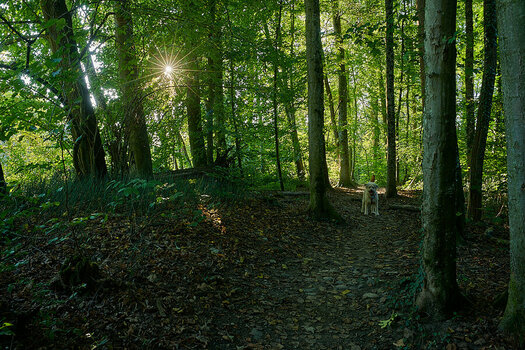 5018__DSC2731.jpg