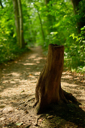 5018__DSC2225.jpg