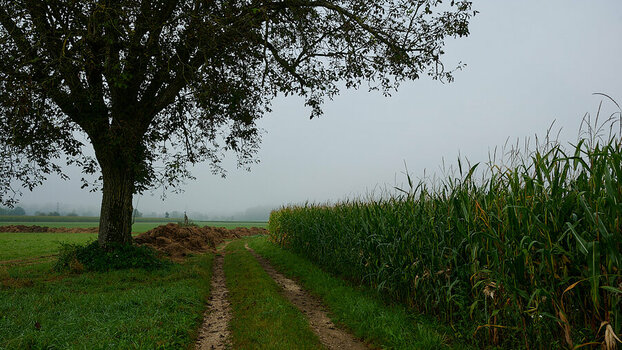 5018__DSC2260.jpg
