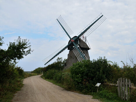 DSC_0042.JPG DSC_0042.JPG