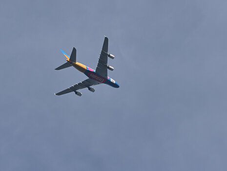 DSC_1621.f.jpg