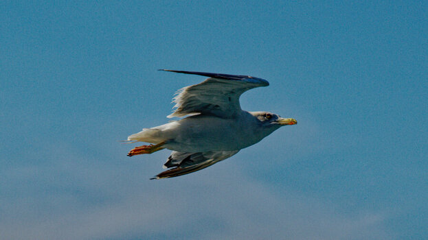 DSC_9582_DxO_624DxODxO.jpg