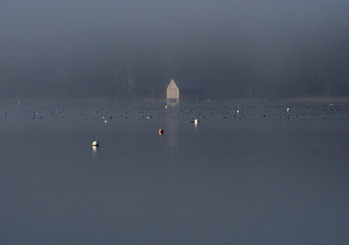 DSC_0401_01.JPG
