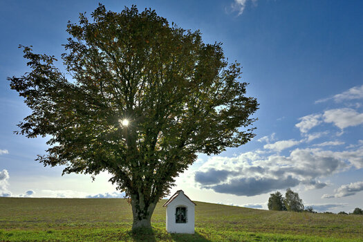 NZ8_1818.JPG