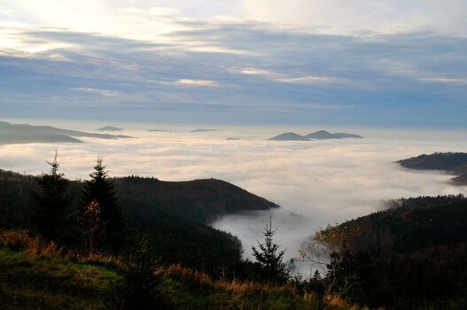Nebel Kaltenbronn klein_DSC_0819.jpg Nebel Kaltenbronn klein_DSC_0819.jpg