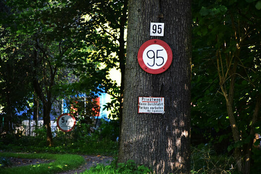 DSC_0353.jpg