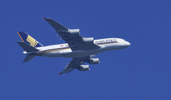 _DSC4904.ff.jpg