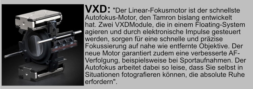 T-04.jpg