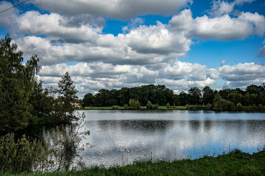 BHS290924-5.jpg