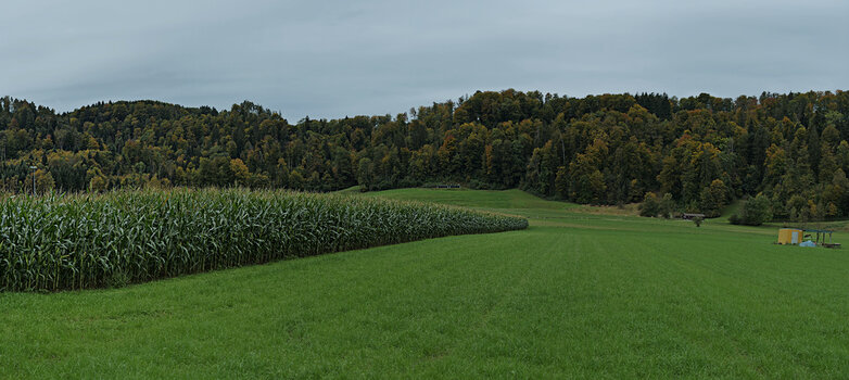 Neues Panorama 1.ffff.jpg