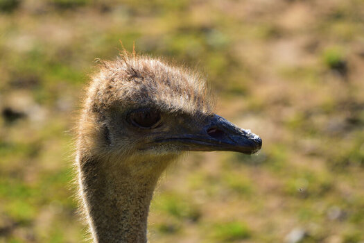 DSC_0082_01.JPG