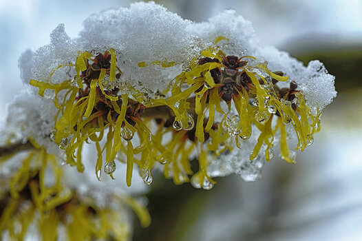 _DSC0360.ff.jpg