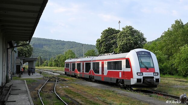 s230527_0620_Medzilaborce_861-003_9936.jpg