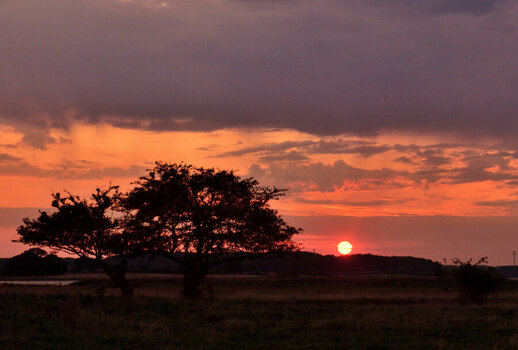 DSC_0198.JPG