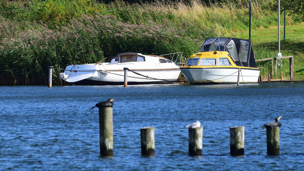 DSC_0014.JPG