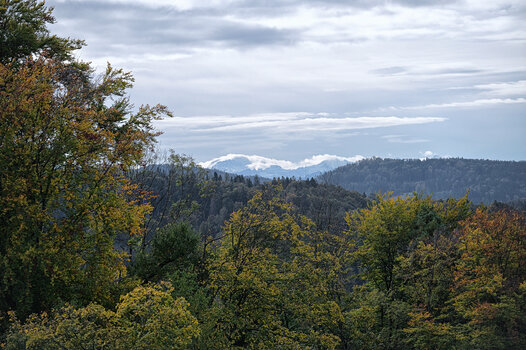DSC_4982.f.jpg