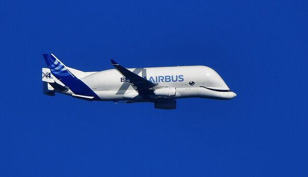 Beluga XL 1.jpg