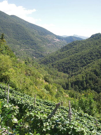 130814_ST_0070_low.jpg 130814_ST_0070_low.jpg