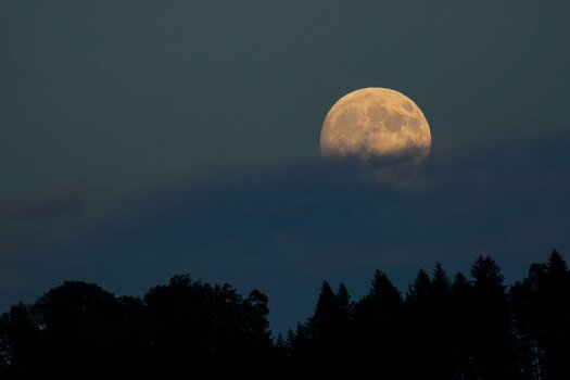 _ROB0924 Mond.jpg
