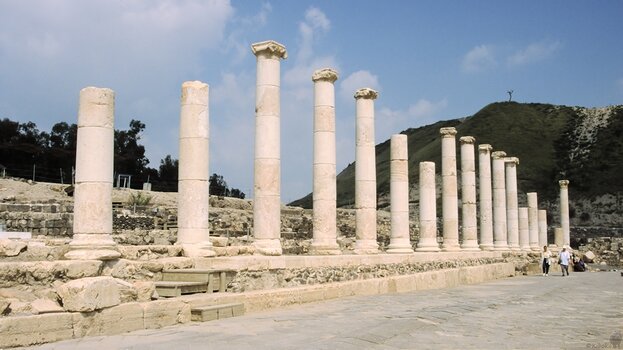 s699_048_000314.jpg