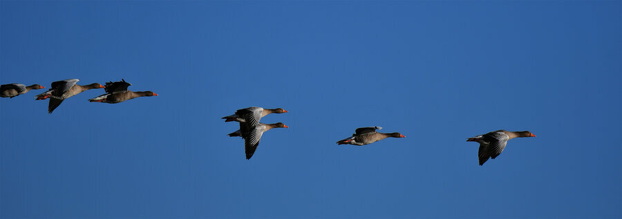 Abflug-1.jpg Abflug-1.jpg