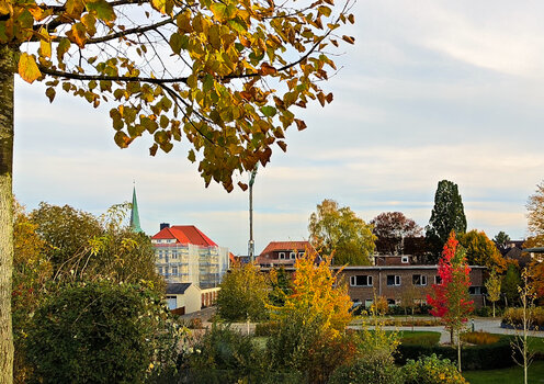 Aus dem Fenster den beginnenden Herbst entdeckt-1.jpg