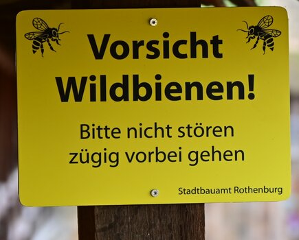 DSC_8987_k.jpg