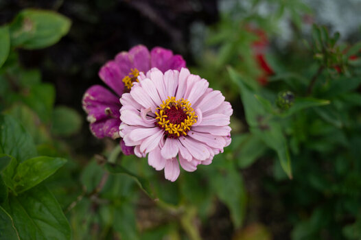 OS-BG-14.07.24-60.jpg