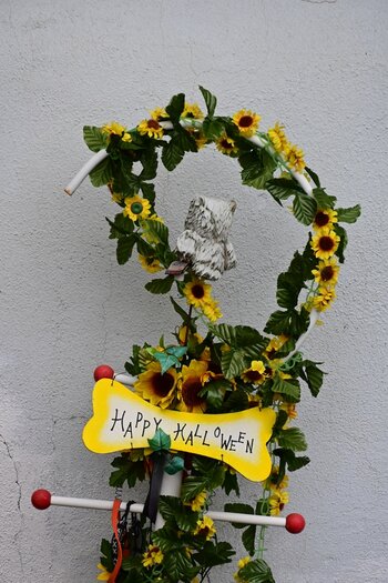 DSC_9036_k.jpg