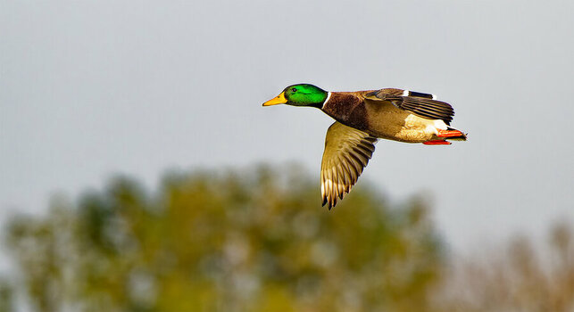 DSC_0062_DxO 2.jpg
