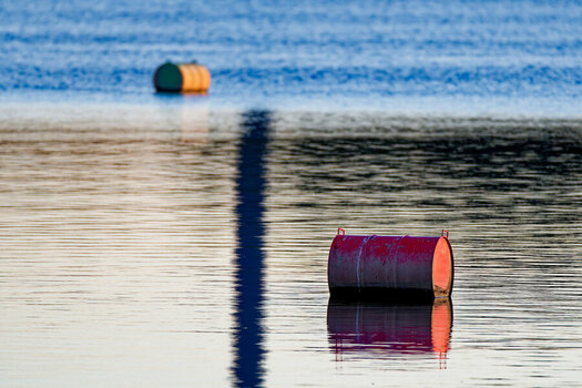 DSC_4325_DxO.jpg