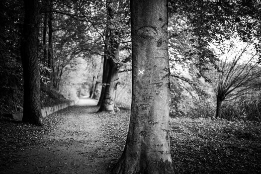 DSC_3056Hexe-2.jpeg