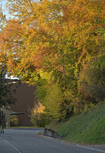 DSC_0605.f.jpg